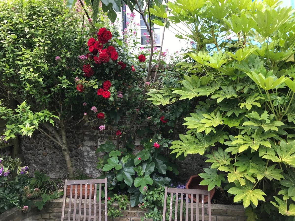 Amazing Apartment, Private Garden, Off Street Parking Brighton Eksteriør bilde